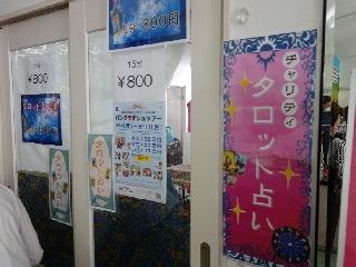 DSC00806.jpg